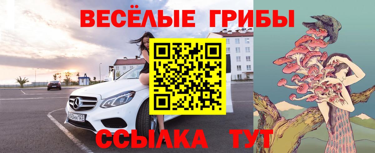 Псилоцибиновые грибы Psilocybe  где купить наркоту  Можга  Вход с VPN 
